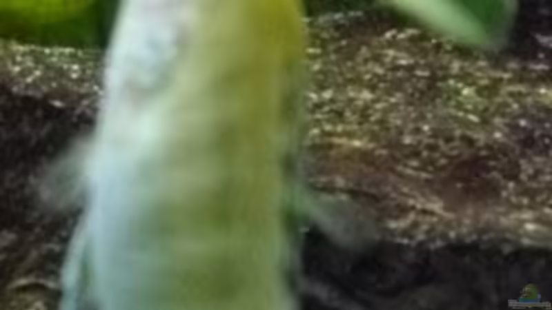 15.5,2010 von Mats (80)