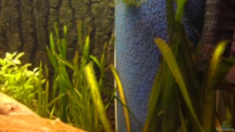 15.9.11 von Heiko Stracke (21)