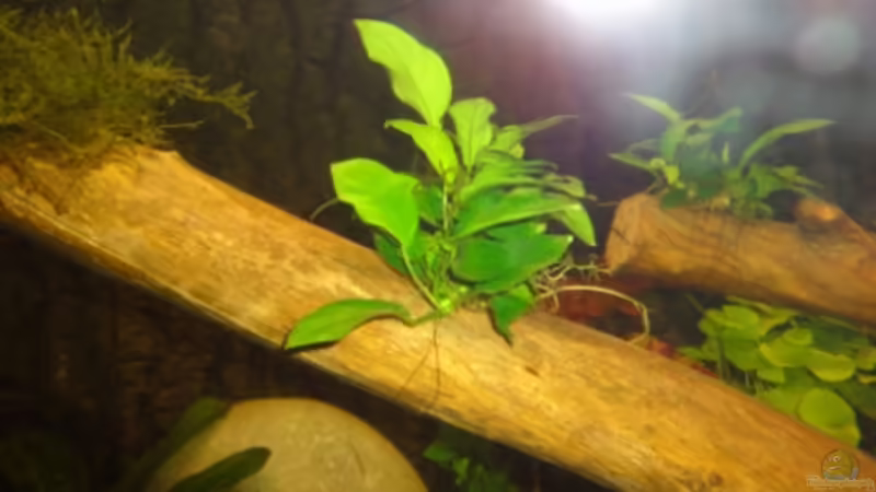 15.9.11 von Heiko Stracke (22)