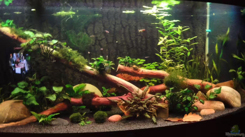 15.9.11 von Heiko Stracke (43)