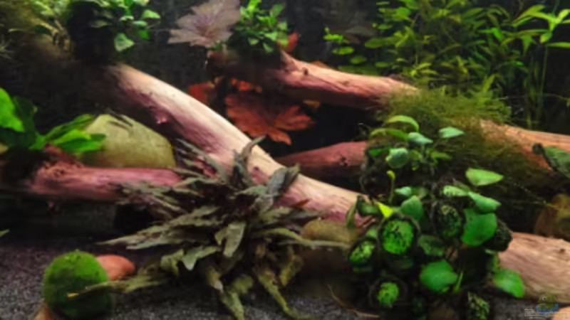 15.9.11 von Heiko Stracke (44)