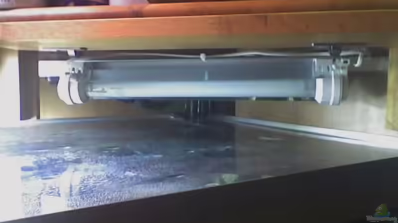 15 W Leuchstoffröhre Arcardia Freshwater 7500 K von FischfanAQ (18)