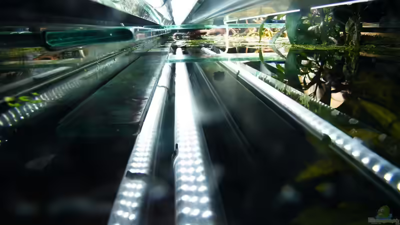 150cm LED Leuchtstoffröhren mit 450 LED´s 2x von Diskus-Freak®aka Benny&Anja (34)