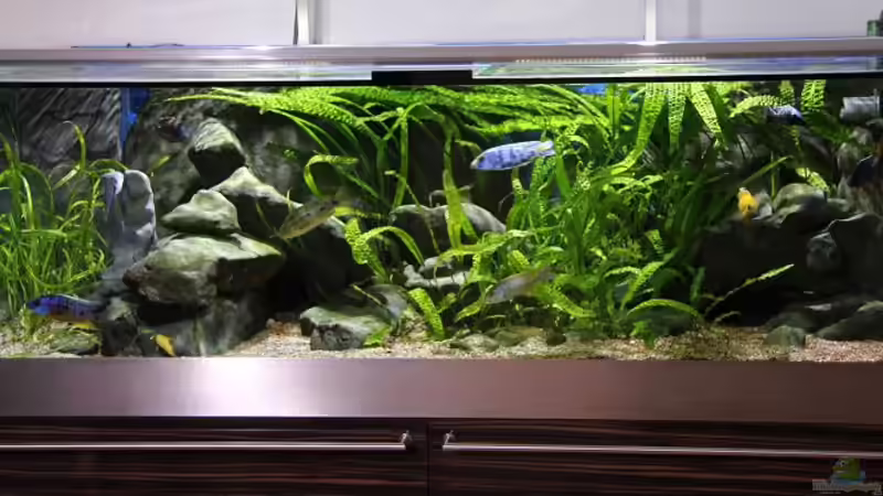 150x70x50 von aquabert (7)