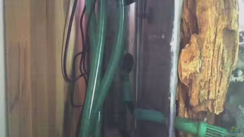 15x18 cm Abgeklebter Bereich wie oben Beschrieben von FischfanAQ (12)