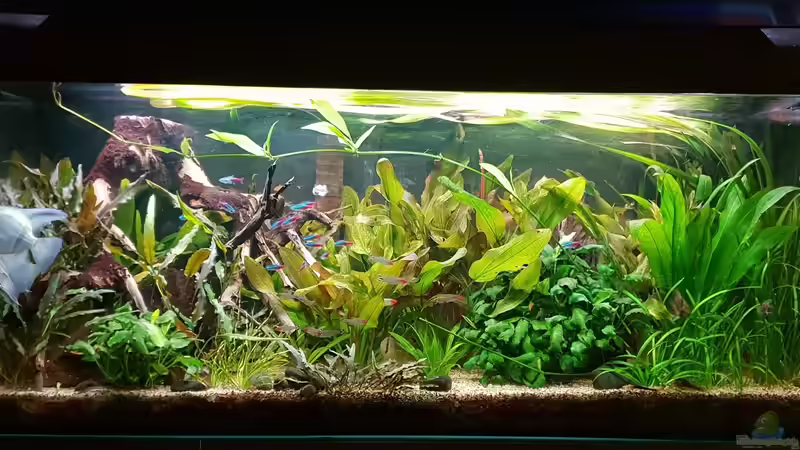 16. Juli 2019  von Mel (19)