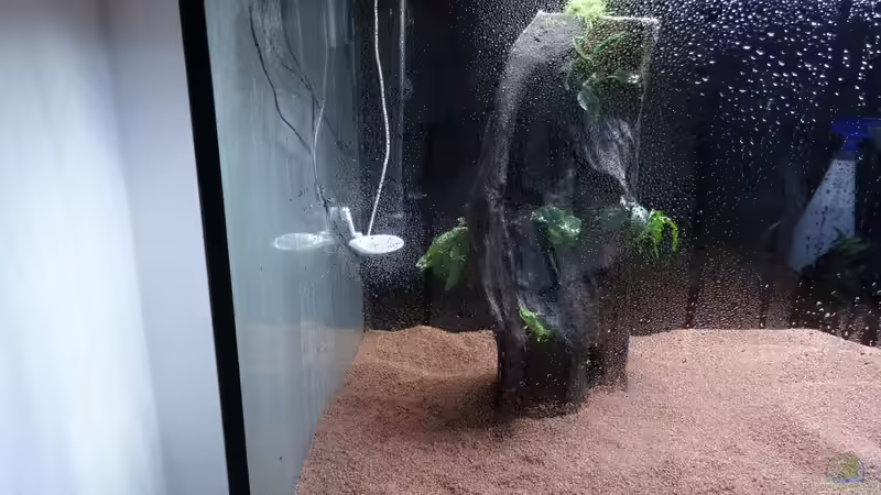 16.) Twinstar und Aussenfilter verbaut und Garnelenkies eingebracht von coachdriver_uwe (17)