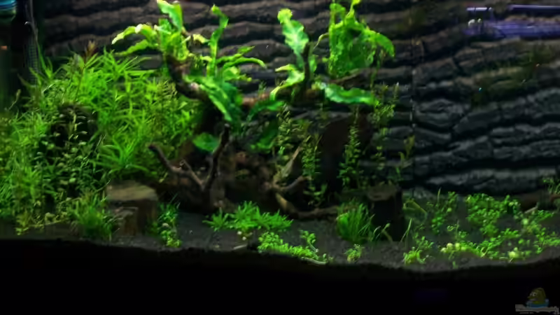 16.01.09 linke Seite ;) von Dani B (4)