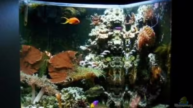 16.01.10 von andi1 (1)