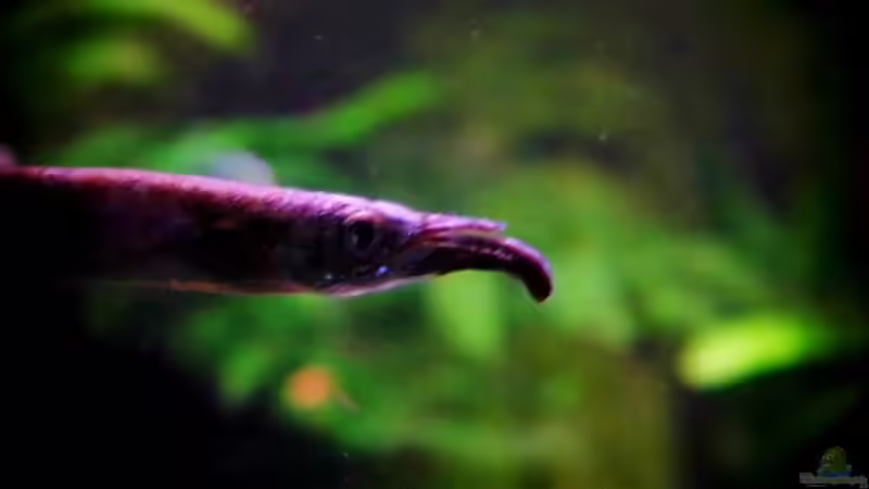 16.01.2014 von snooze (41)