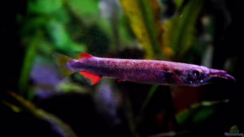 16.01.2014 von snooze (42)