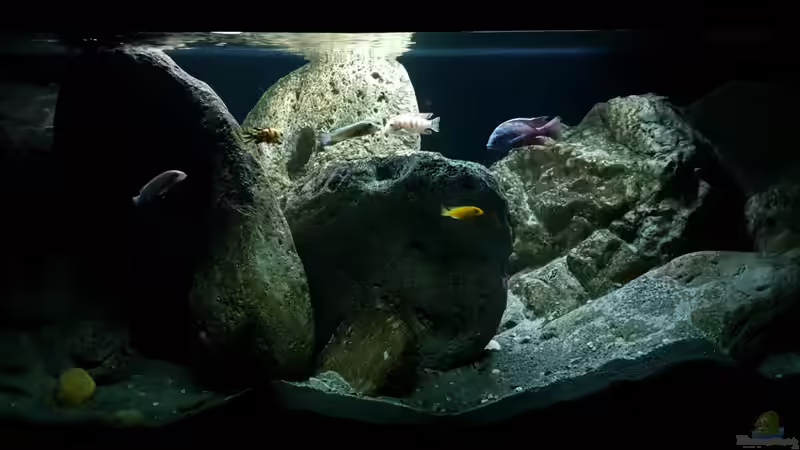 16.01.2020 von Mel (1)