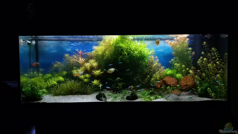 16.02.15 von <--- sebi ---> (5)