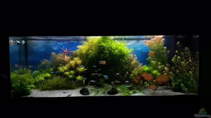 16.02.15 von <--- sebi ---> (6)