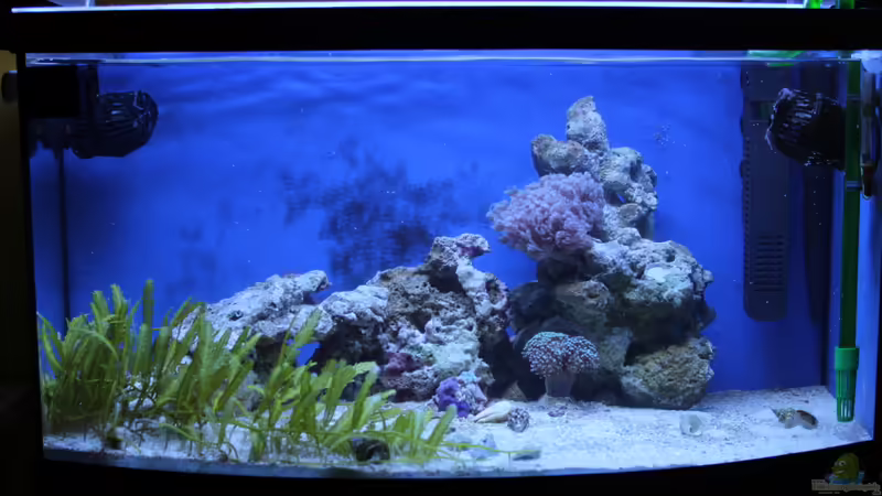 16.02.2011 von Sven K. (14)