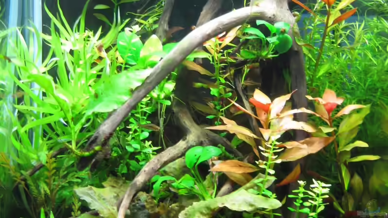 16.02.2014 von Nanu (9)