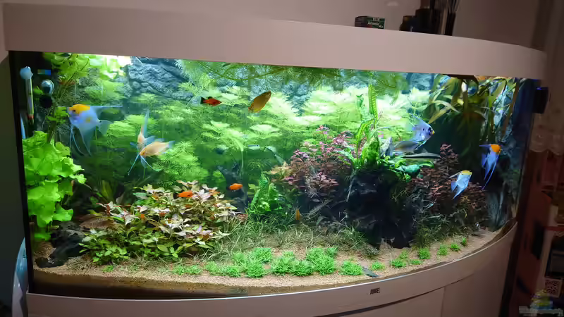 16.02.21 von Stefan von Oettingen (10)