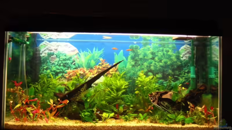 16.03.08 von andi.B (5)