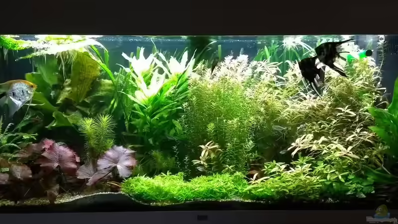 16.03.19 von Stephy (14)