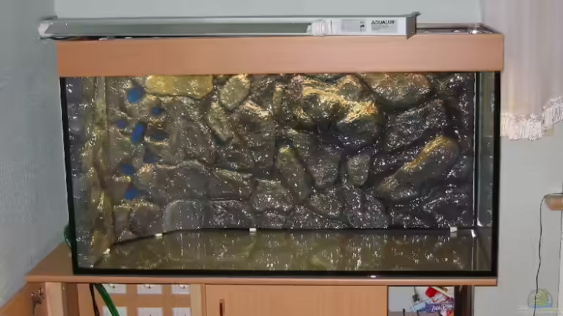 16.03.2007: Becken mit eingeklebter Rückwand von Steffen L. (4)