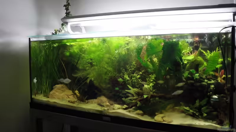 16.03.2010 von Laura (6)