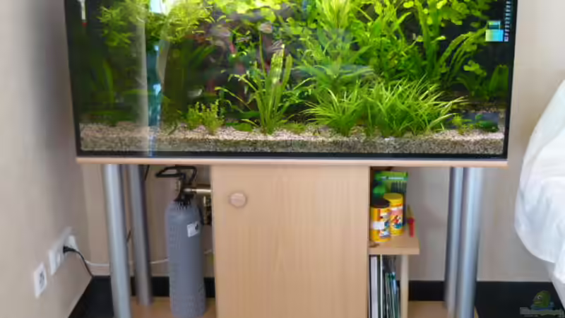 16.04.09 von Wels (2)