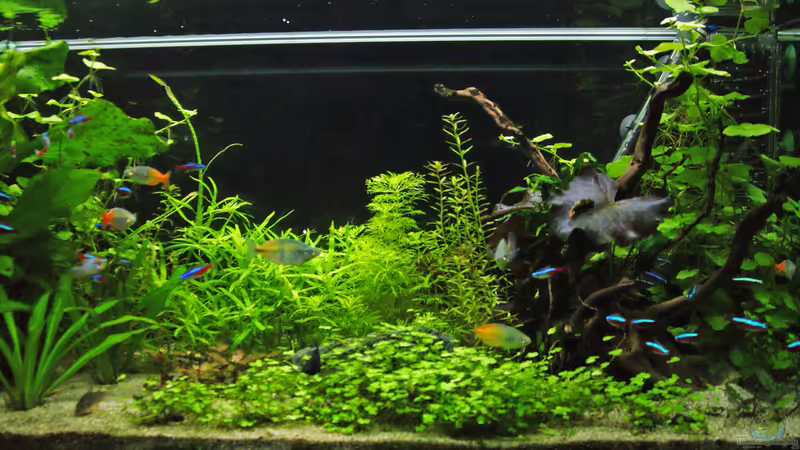 16.04.15 von Aniram (2)