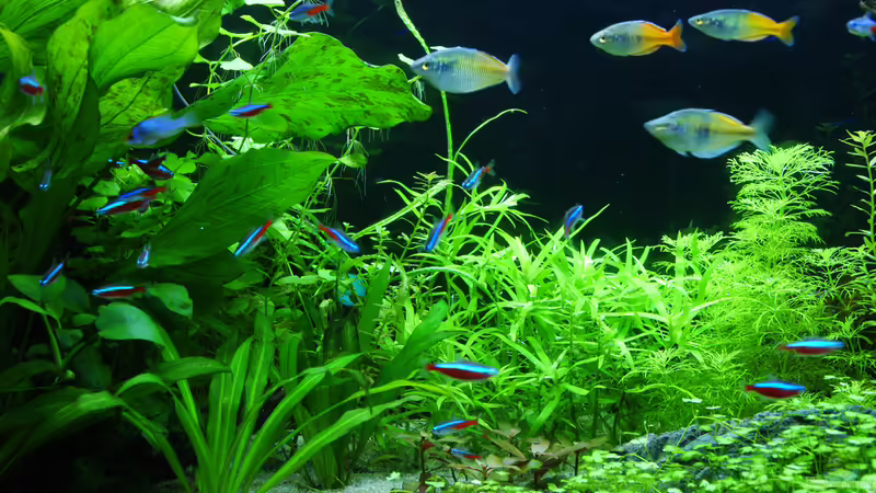 16.04.15 von Aniram (21)