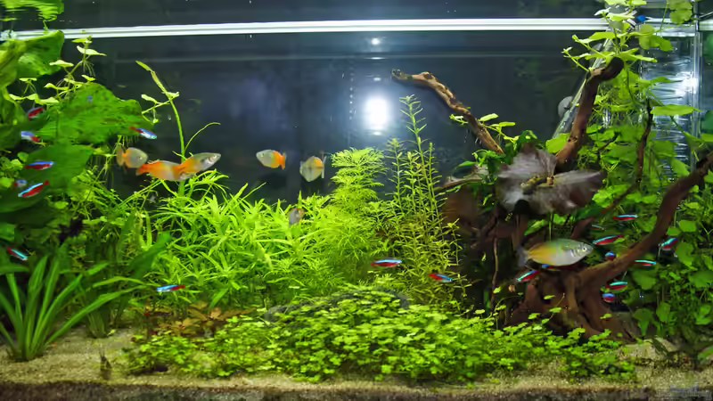 16.04.2015 von Aniram (1)