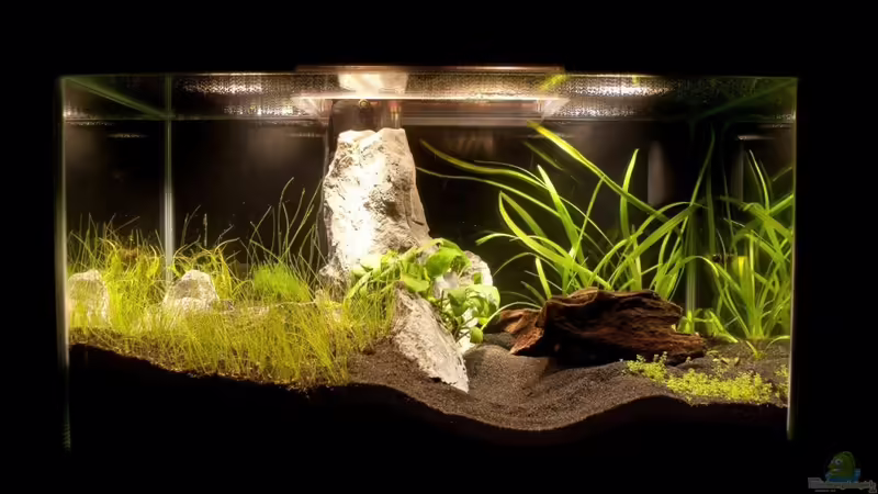 16.05.2010 von Maik A. (2)