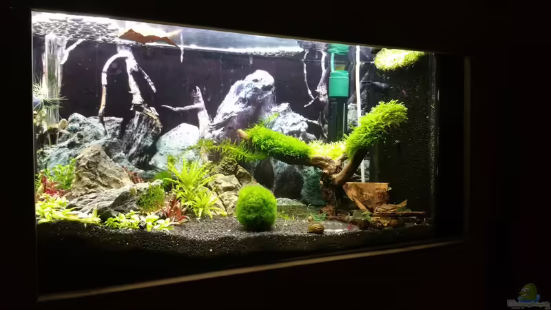 16.05.2015 von Lucky3310 (3)