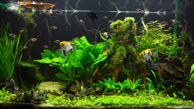 16.06.2013 von Daniela (4)