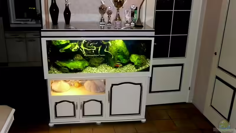 16-07-10 von Harry van Scherpenzeel (1)