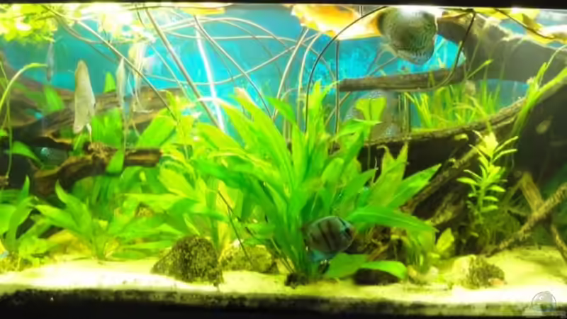 16.07.2010 von Laura (5)