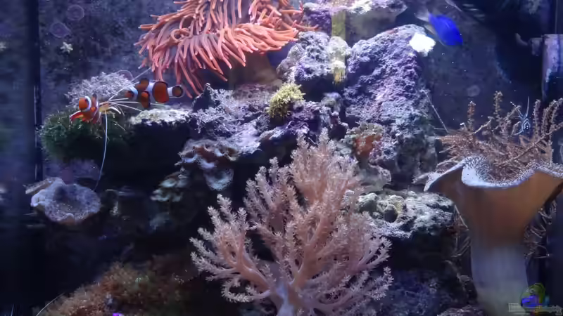 16.07.2012 von Georg1983 (1)