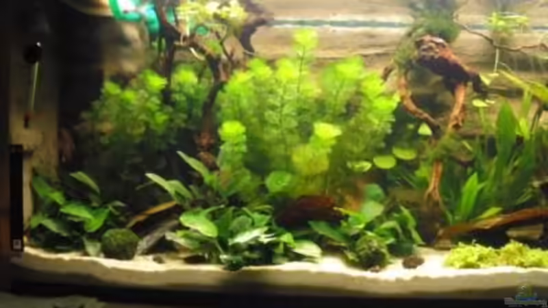 16.07.2012 von pary (7)