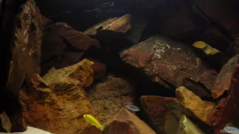 16.08.07 von MDenzer (10)