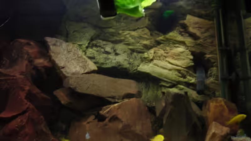 16.08.07 von MDenzer (11)