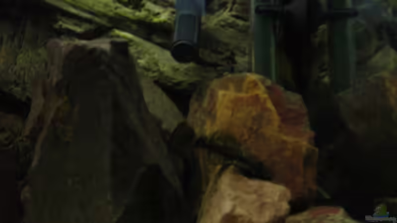 16.08.07 von MDenzer (13)