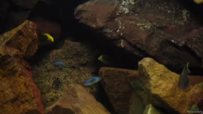 16.08.07 von MDenzer (22)