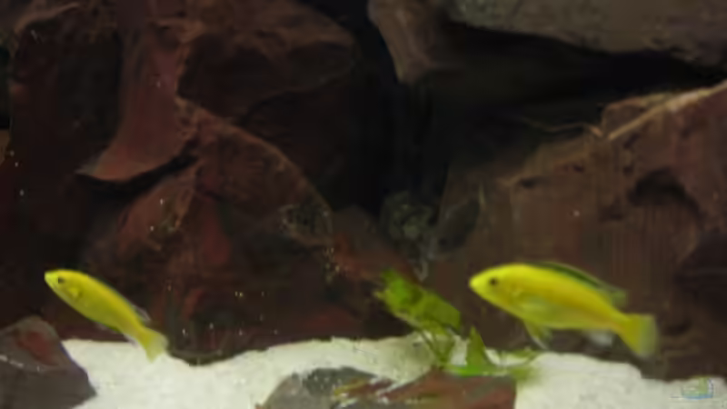 16.08.07 von MDenzer (23)