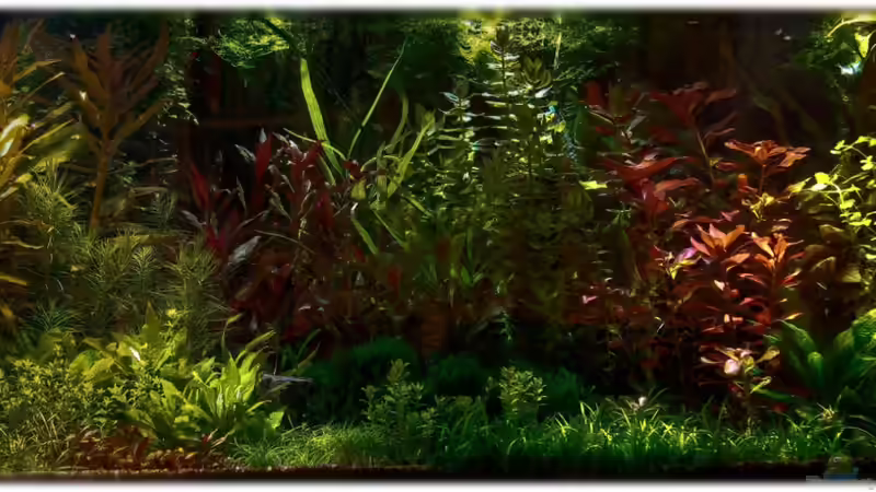 16-08-12 Abenddämmerung von Ralf64 (7)