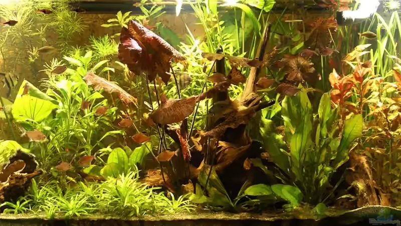 16.08.2012 von Andreas Brandt (1)