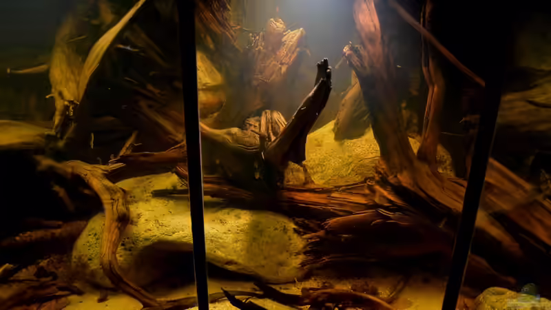 16.08.2013: Die ´neue´ Mitte im Detail von GGuardiaNN (6)