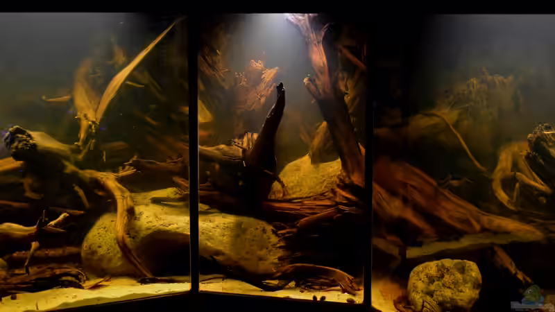 16.08.2013: Die ´neue´ Mitte von GGuardiaNN (3)