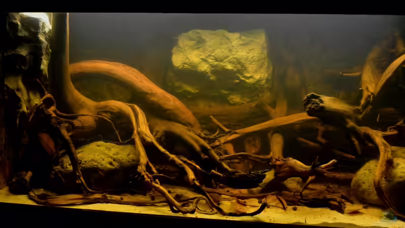 16:08.2013: Ein erstes schnelles Foto vom Endergebnis meiner Umbauaktion: Die linke von GGuardiaNN (2)