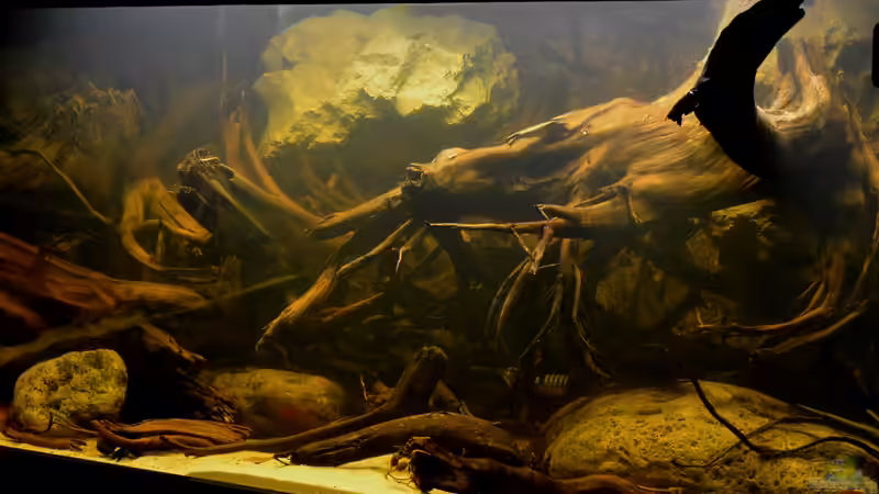 16.08.2013: Und natürlich auch die rechte Seite von GGuardiaNN (4)