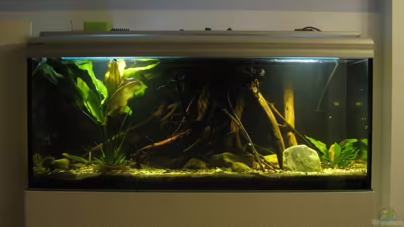 16.08.2017 Gesamtansicht von der Theoretiker (2)