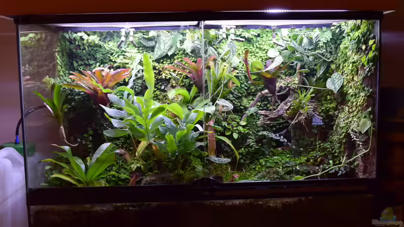 16.08.2018 von Junglist (55)