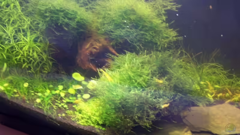 16.09.08 von Dani B (5)